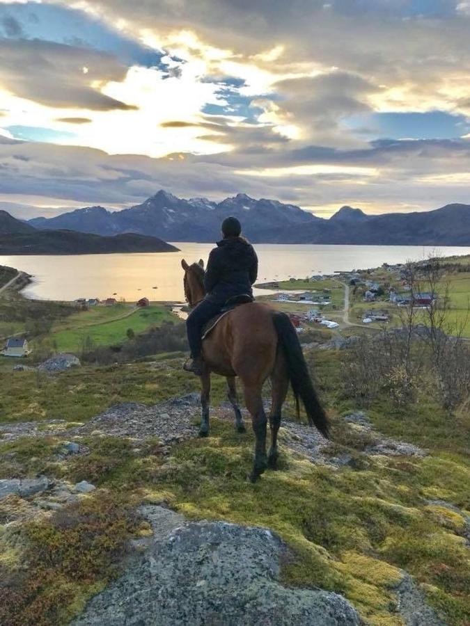 Storjord Farmstay Ranchhouse Kvaloya Exterior foto